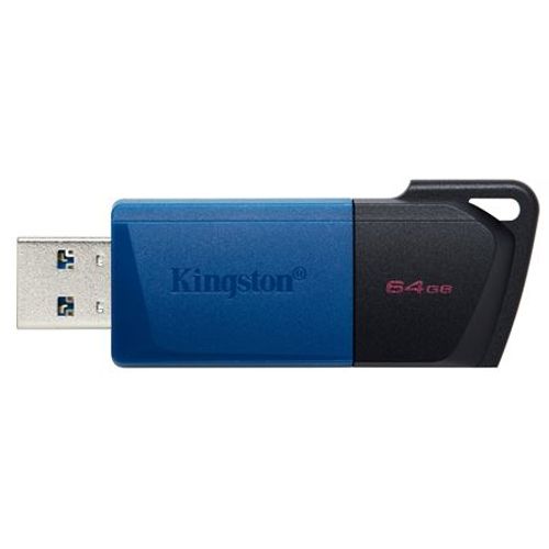 Flash kartica KINGSTON 64GB EXODIS DTXM/64GB